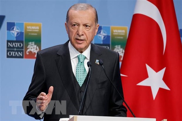 Tong thong Tayyip Erdogan: Tho Nhi Ky co the 