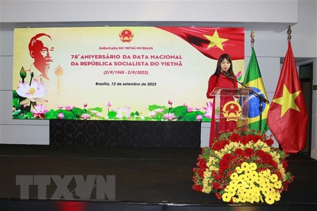 Viet Nam va Brazil coi trong quan he Doi tac Toan dien hinh anh 1