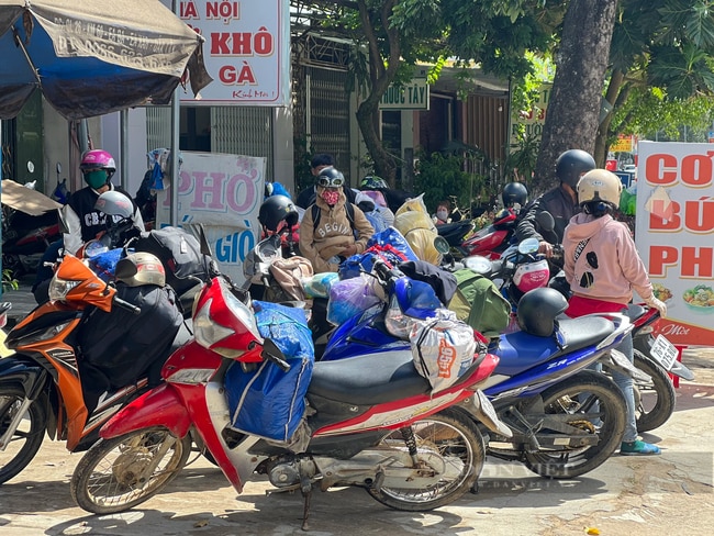 Cả làng kéo nhau lên Tây Nguyên hái cà phê thuê để...kiếm cái Tết - Ảnh 1.