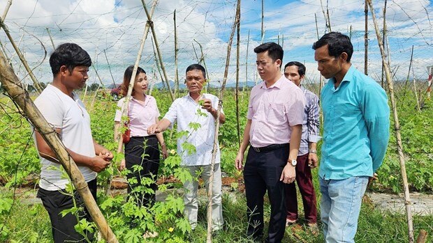 Chu trong giam ngheo ben vung cho dong bao dan toc thieu so tai Gia Lai hinh anh 1