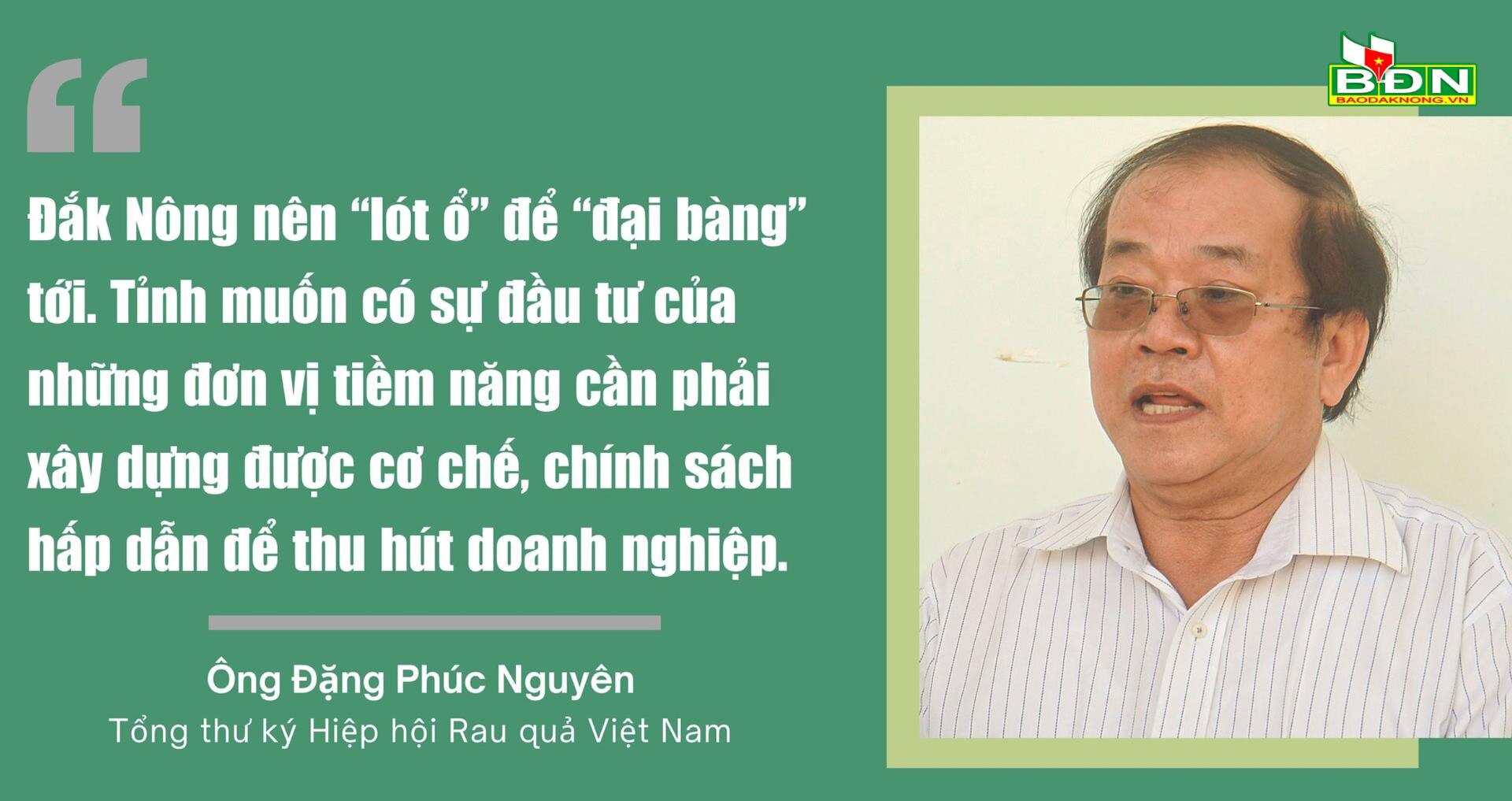 nguyen-3-.jpg