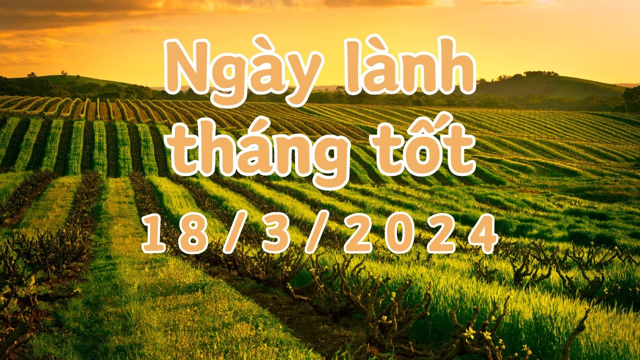 xem-ngay(1).png