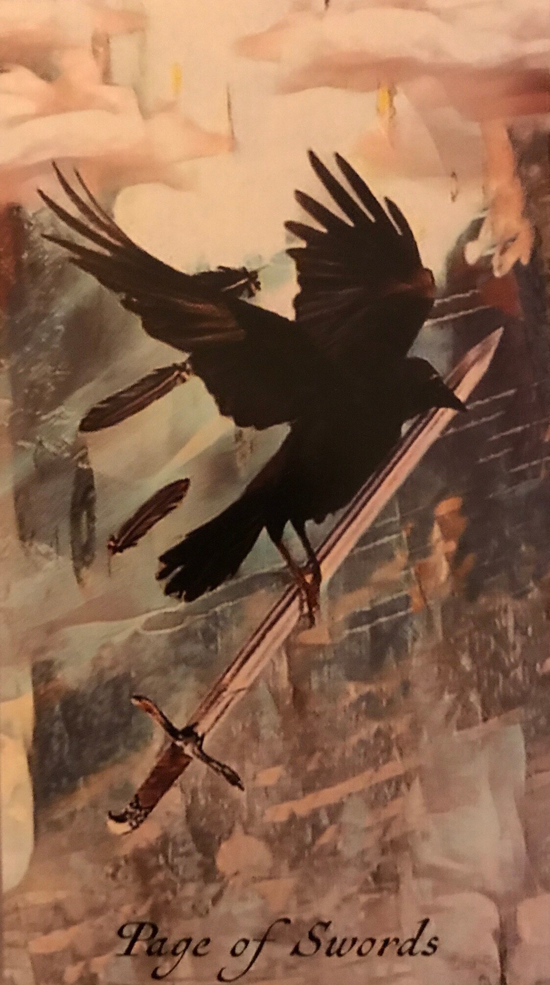 Featured Card of the Day – Page of Swords – Crow Tarot by M.J. Cullinane – Tarot by Cecelia