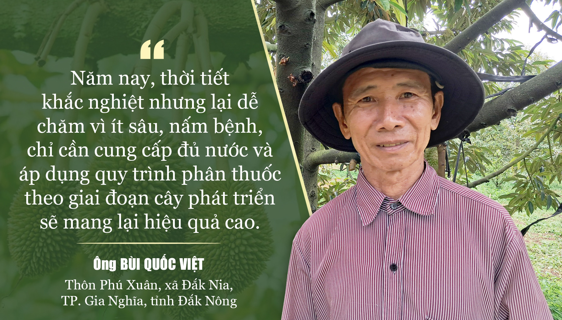 phat ngon Viet