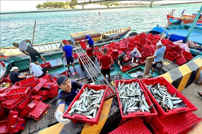 Tàu cá công suất lớn đánh bắt xa bờ cập cảng cá Cửa Tùng. (Ảnh minh họa: Nguyên Linh/TTXVN)