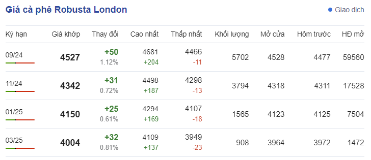 Giá cà phê hôm nay, ngày 12/7/2024: Giá cà phê Robusta trên sàn London