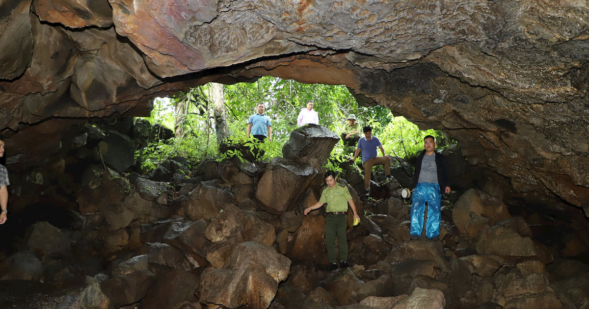 Field survey, delineation of protected area of ​​scenic spots of cave C3 - C4