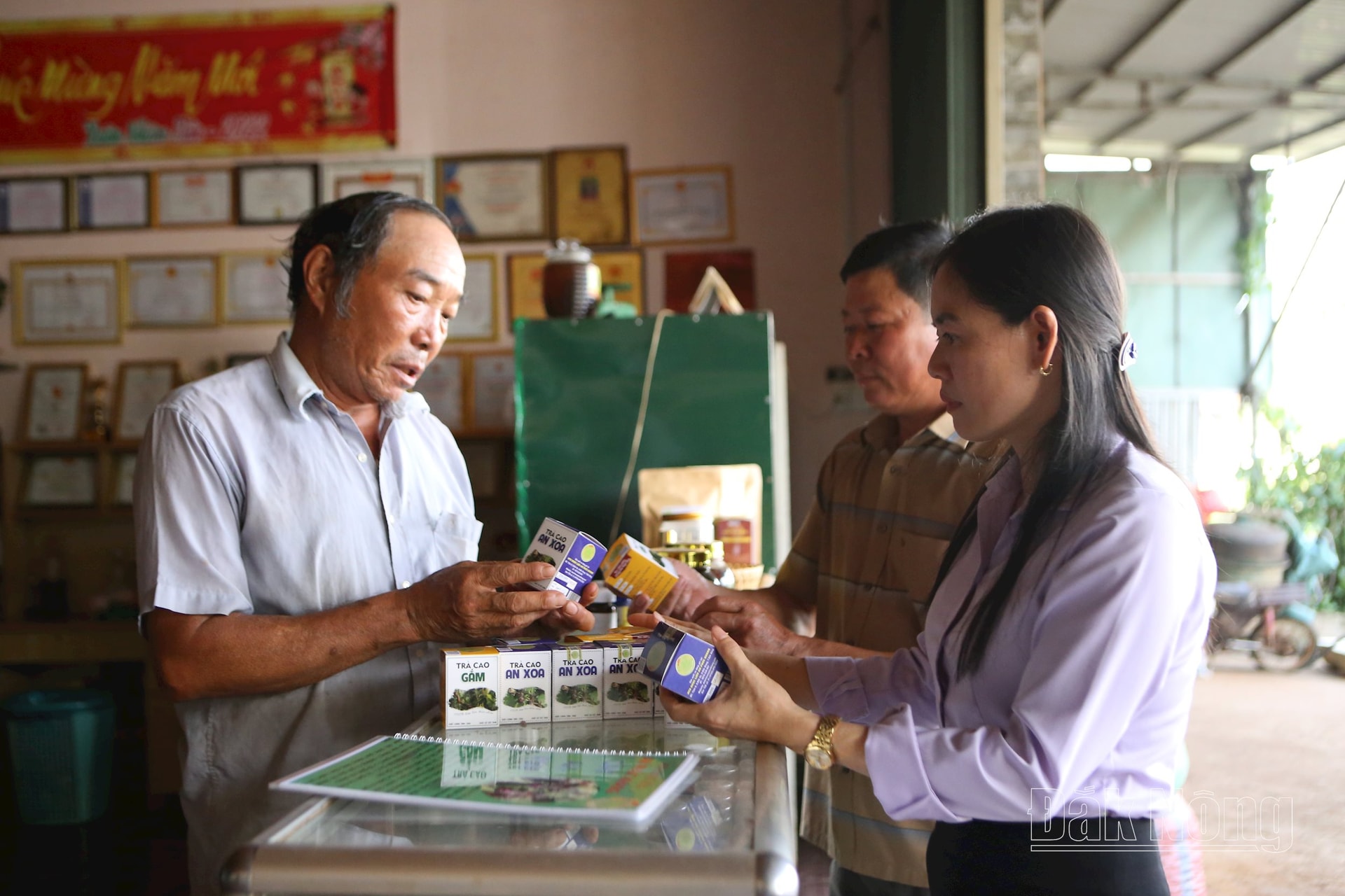 Đắk Glong có nhiều điều kiện thuận lợi để phát triển dược liệu quý dưới tán rừng