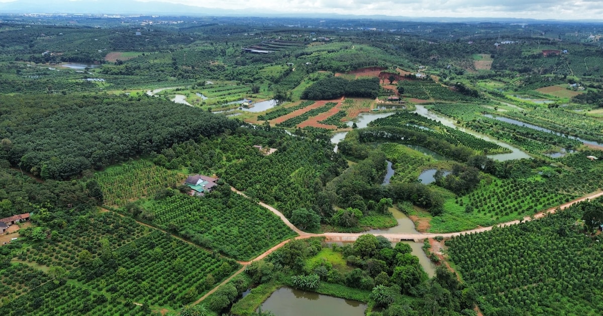 โครงการจัดซื้อที่ดินในจังหวัดดั๊กนงหลายแห่งประสบปัญหา