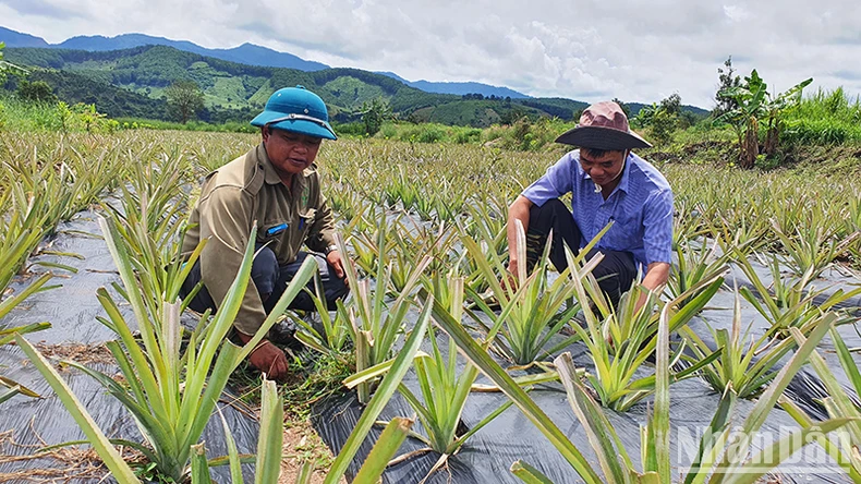 Đồng bào dân tộc thiểu số tỉnh Kon Tum đổi thay từ một Cuộc vận động ảnh 1