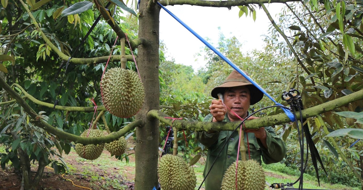 Dak R'lap លើកកម្ពស់ប្រសិទ្ធភាពនៃគោលនយោបាយឥណទានអនុគ្រោះ