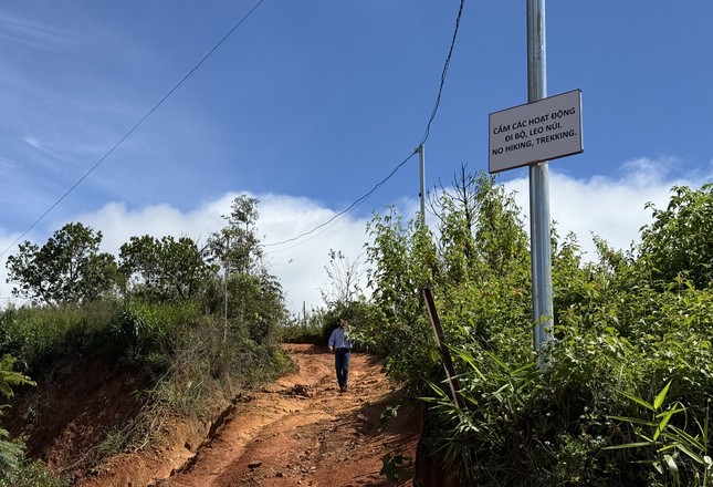 La razón por la que los turistas se pierden constantemente en la montaña Langbiang (foto 2)