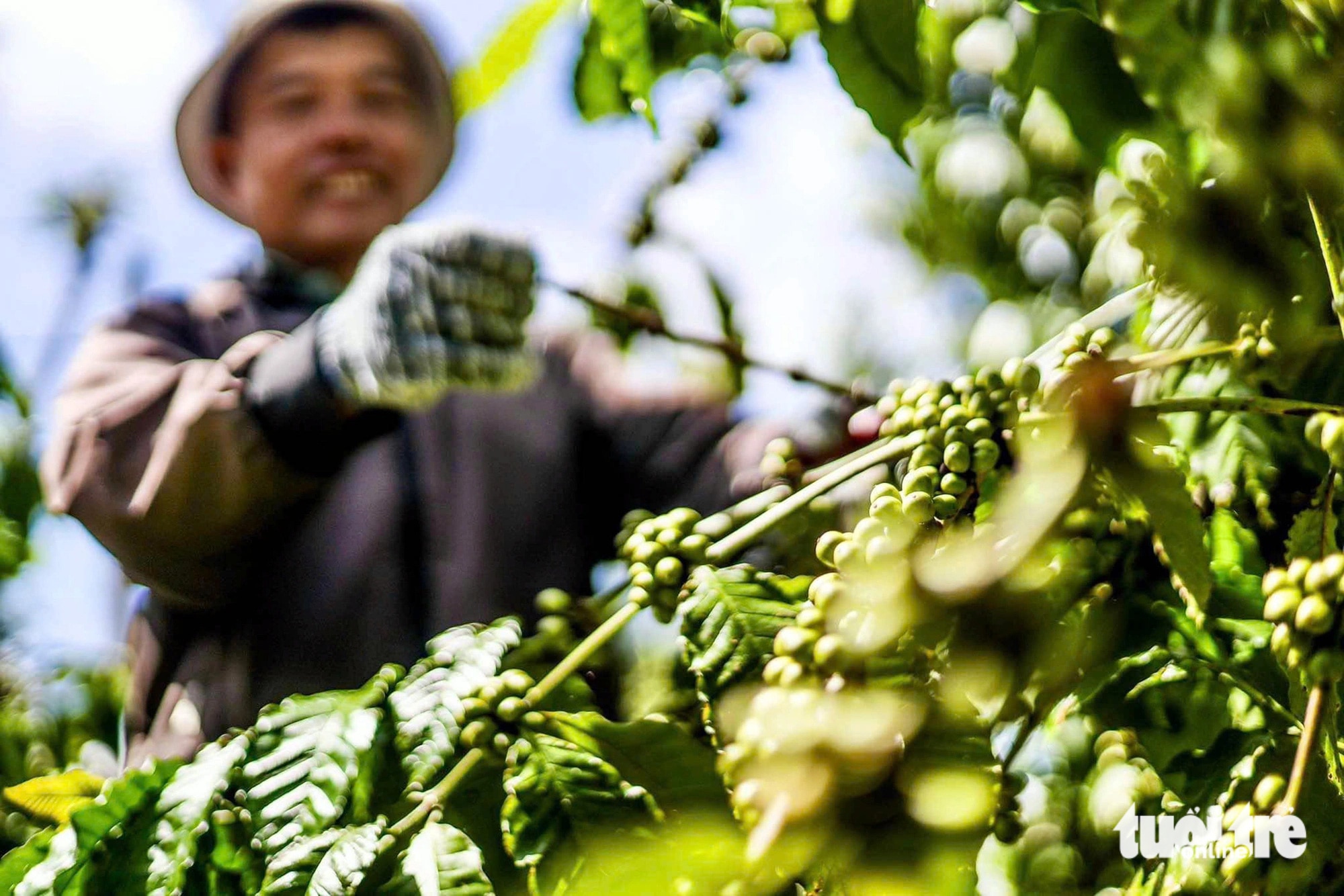 Cuối năm kinh tế đón tin vui - Ảnh 4.