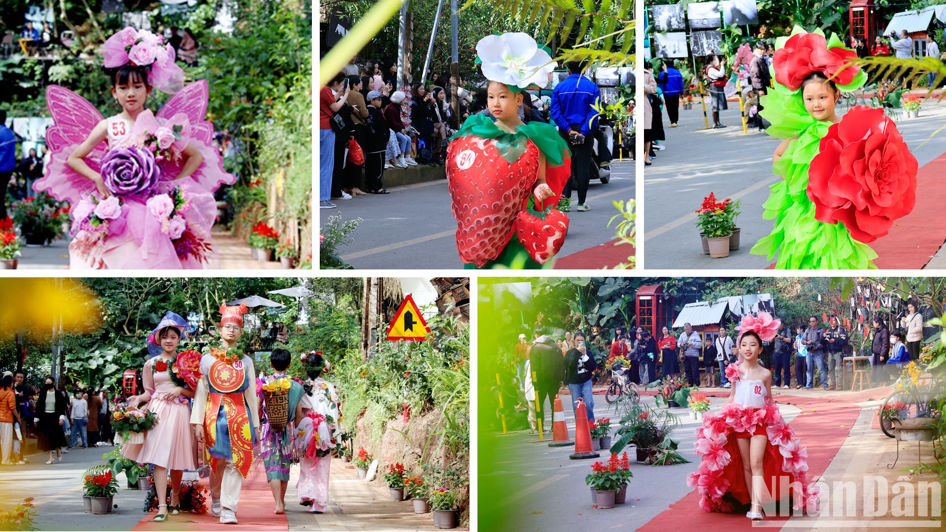 [Ảnh] Ấn tượng với sàn diễn thời trang hoa Đà Lạt ảnh 9