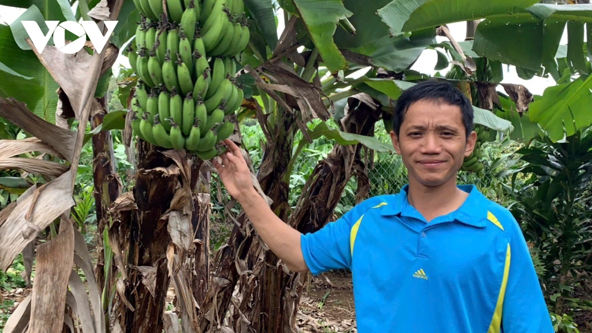 Nâng tầm nông sản Đắk Nông qua chương trình OCOP