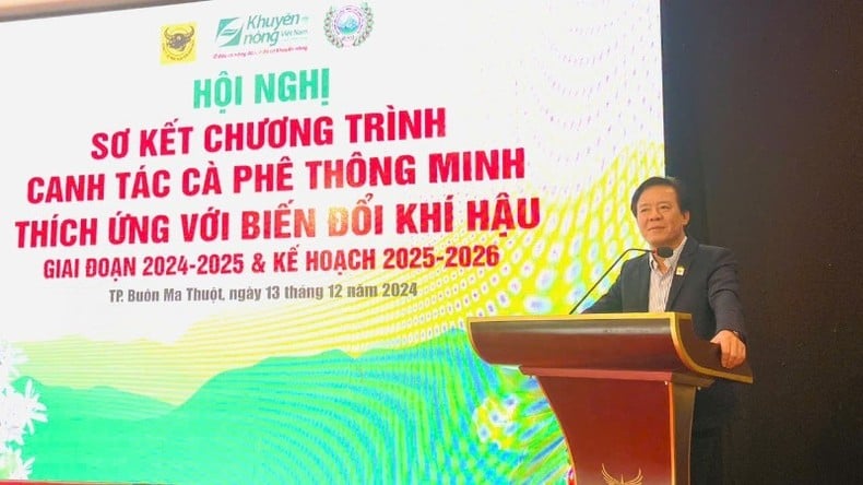 Canh tác cà-phê thông minh thích ứng với biến đổi khí hậu ảnh 1