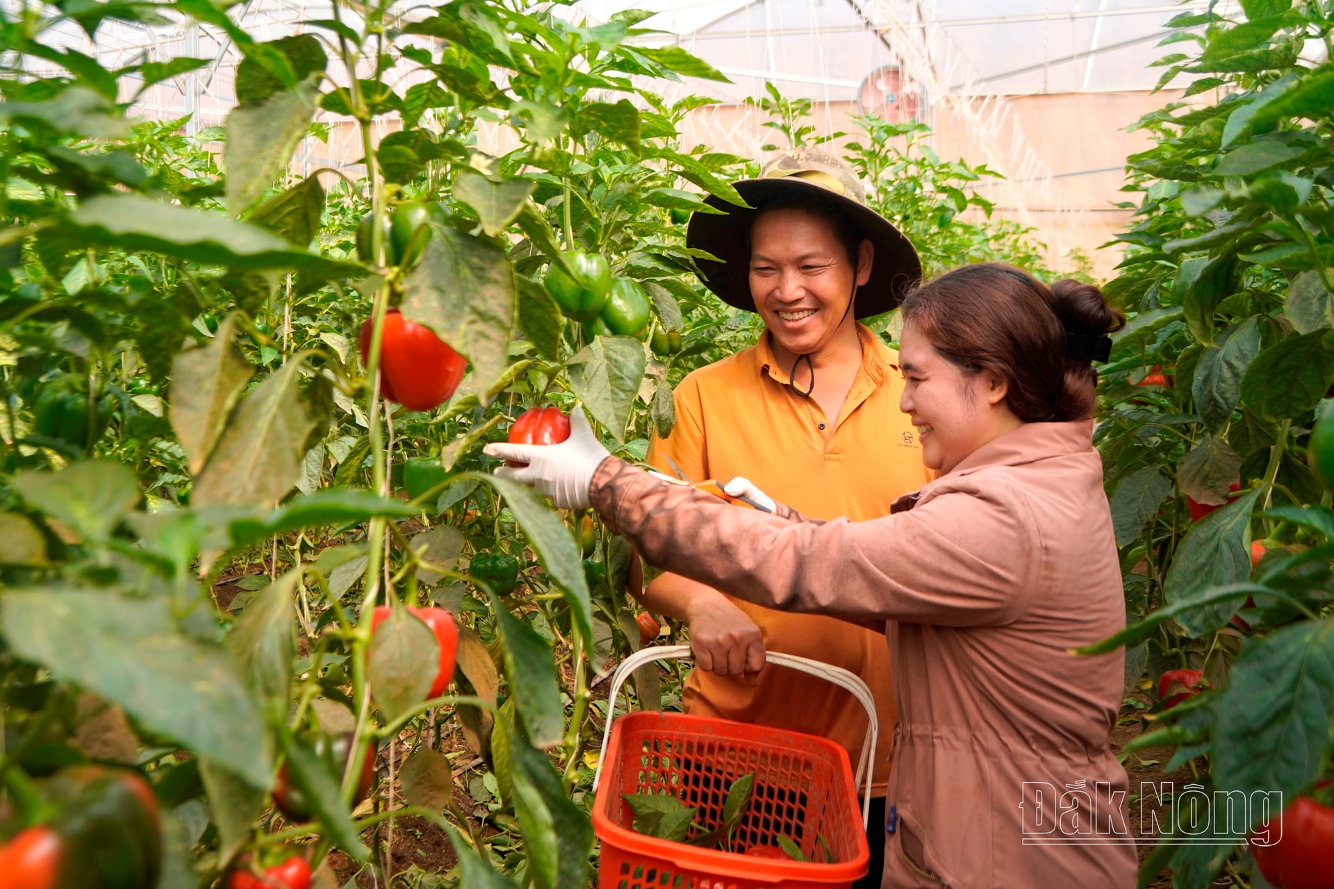 Kinh tế - xã hội phát triển, đời sống người dân trên địa bàn huyện Tuy Đức ngày càng được nâng cao