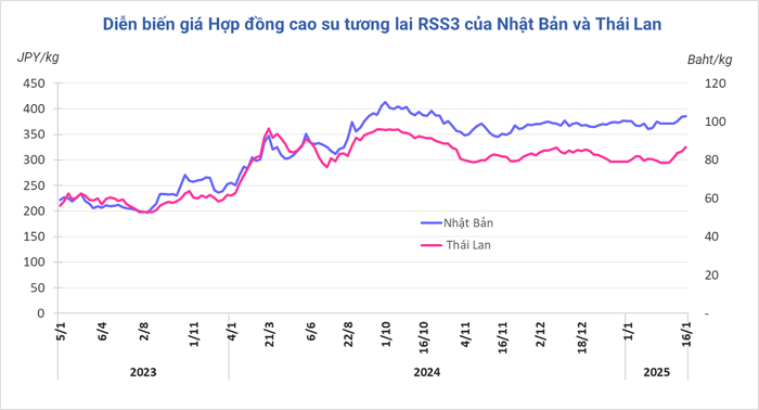 Giá cao su hôm nay 171 Tiếp tục tăng phiên thứ 4 liên tiếp