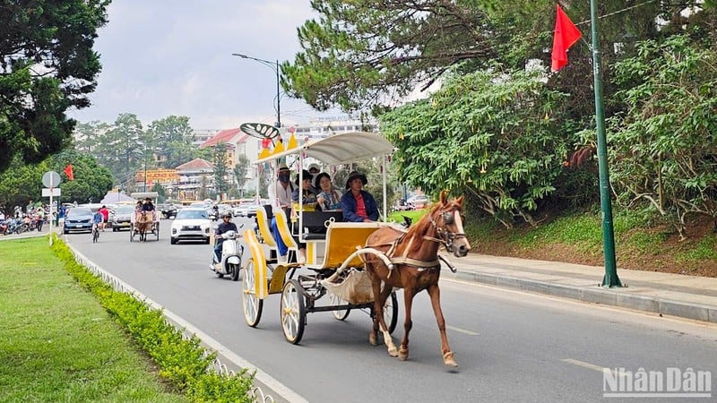 Dịch vụ xe ngựa chở khách tham quan quanh hồ Xuân Hương - Đà Lạt từng thu hút du khách.