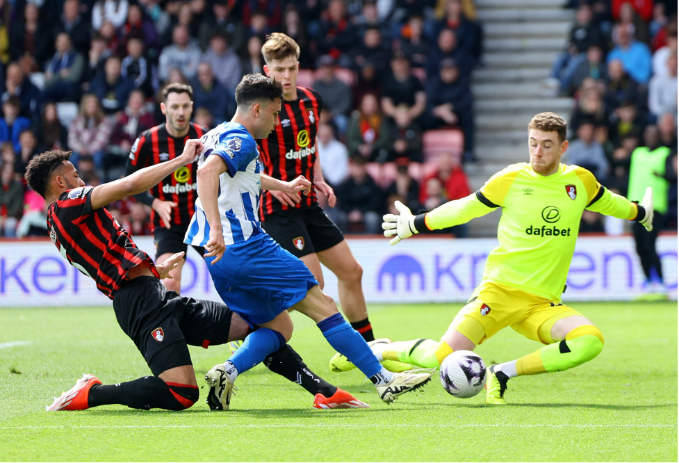 Nhận định trận đấu Bournemouth vs Brighton, 22h00 ngày 23.11: Dễ chia điểm | Thể thao | Báo Văn Hóa Online