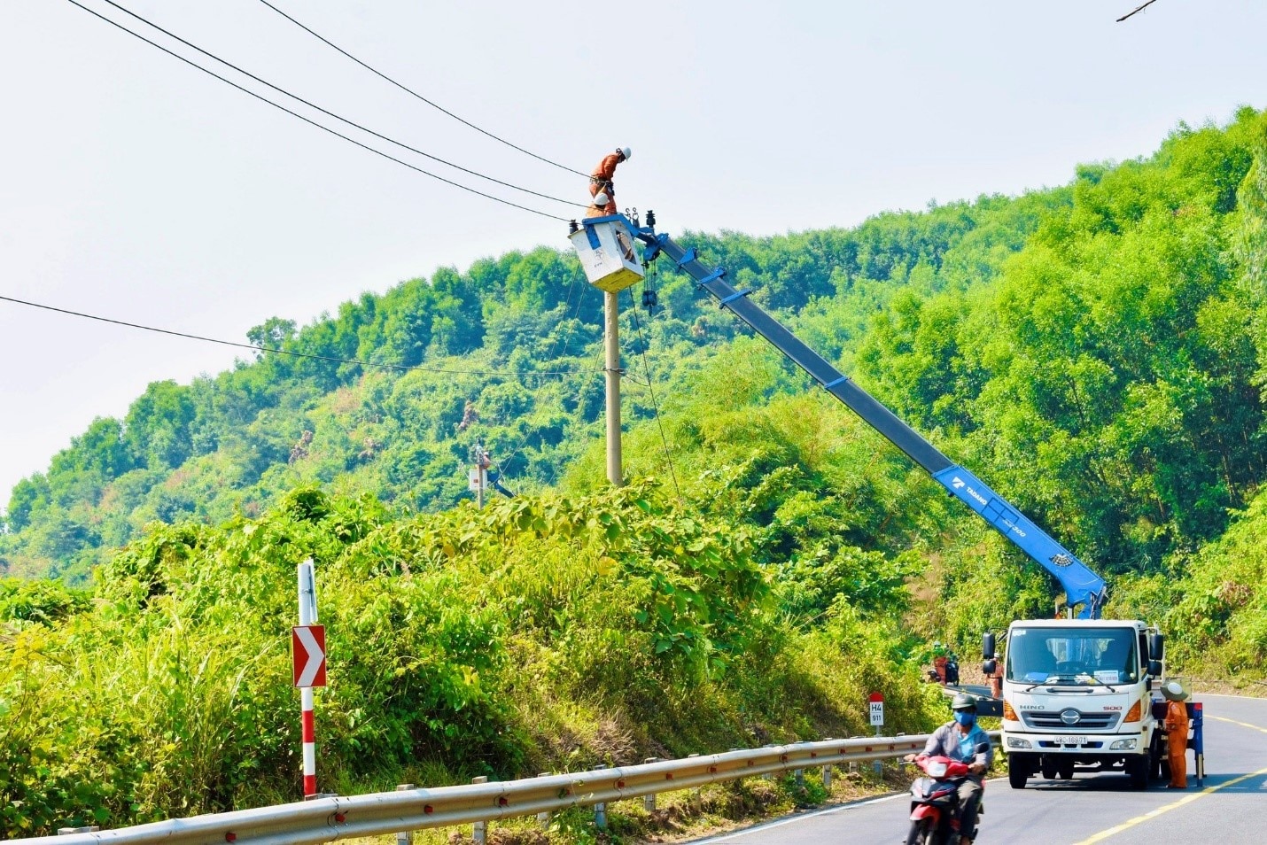 PC Đà Nẵng chủ động bố trí công tác hợp lý phục vụ vệ sinh bảo dưỡng lưới điện