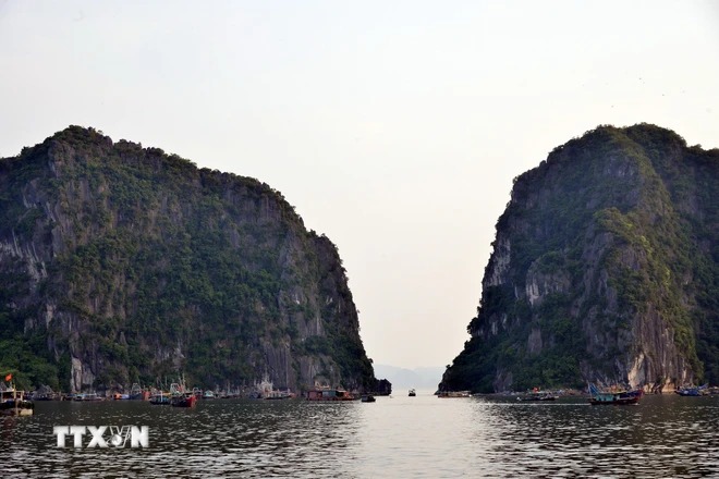 Hiện thành phố Hạ Long đã bố trí 10 điểm tránh trú bão số 3 cho các tàu thuyền. (Ảnh: Thanh Vân/TTXVN)