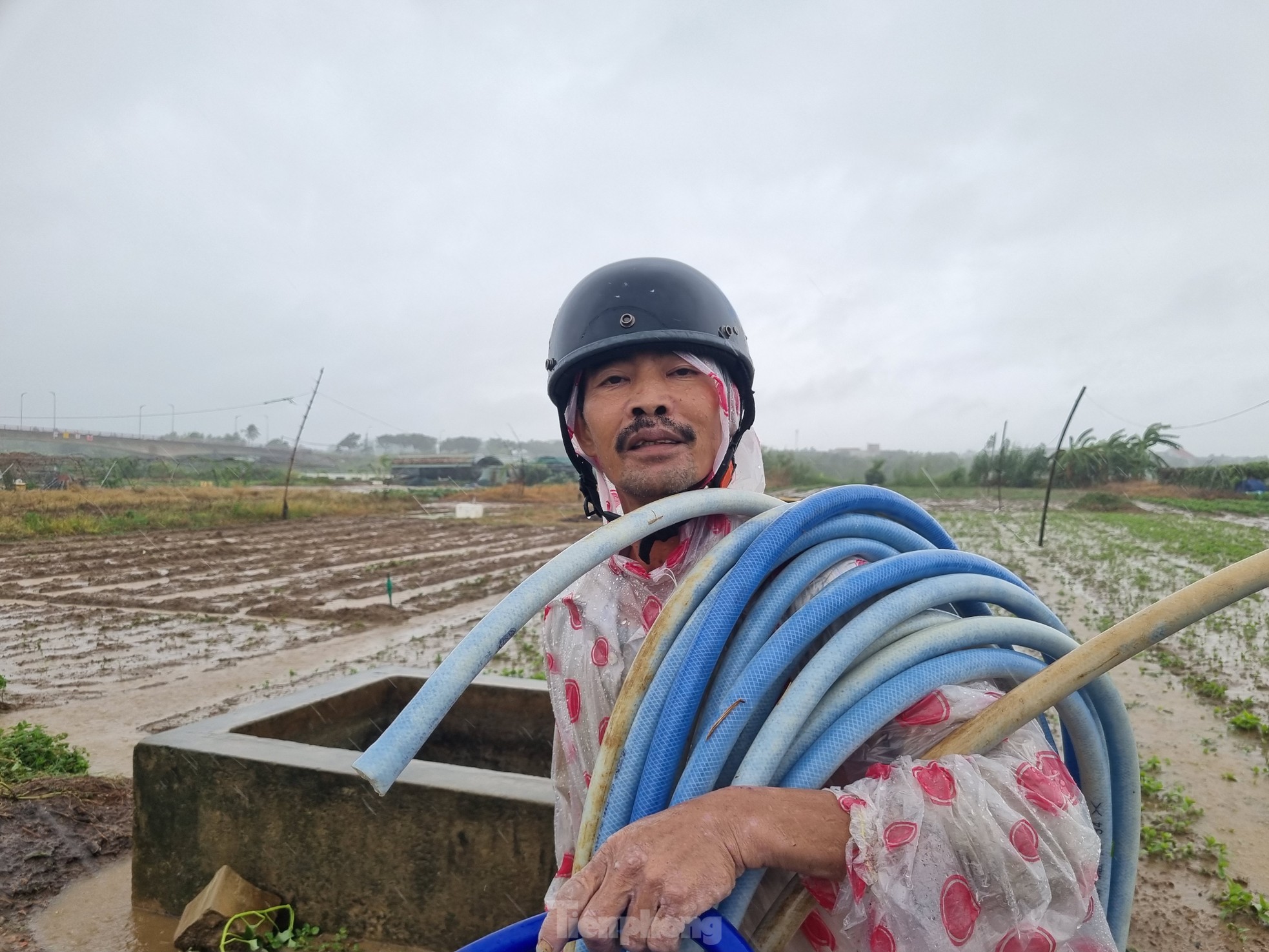 Nước bủa vây vùng rau lớn nhất Đà Nẵng sau mưa kéo dài, 'bà con không kịp trở tay' ảnh 12