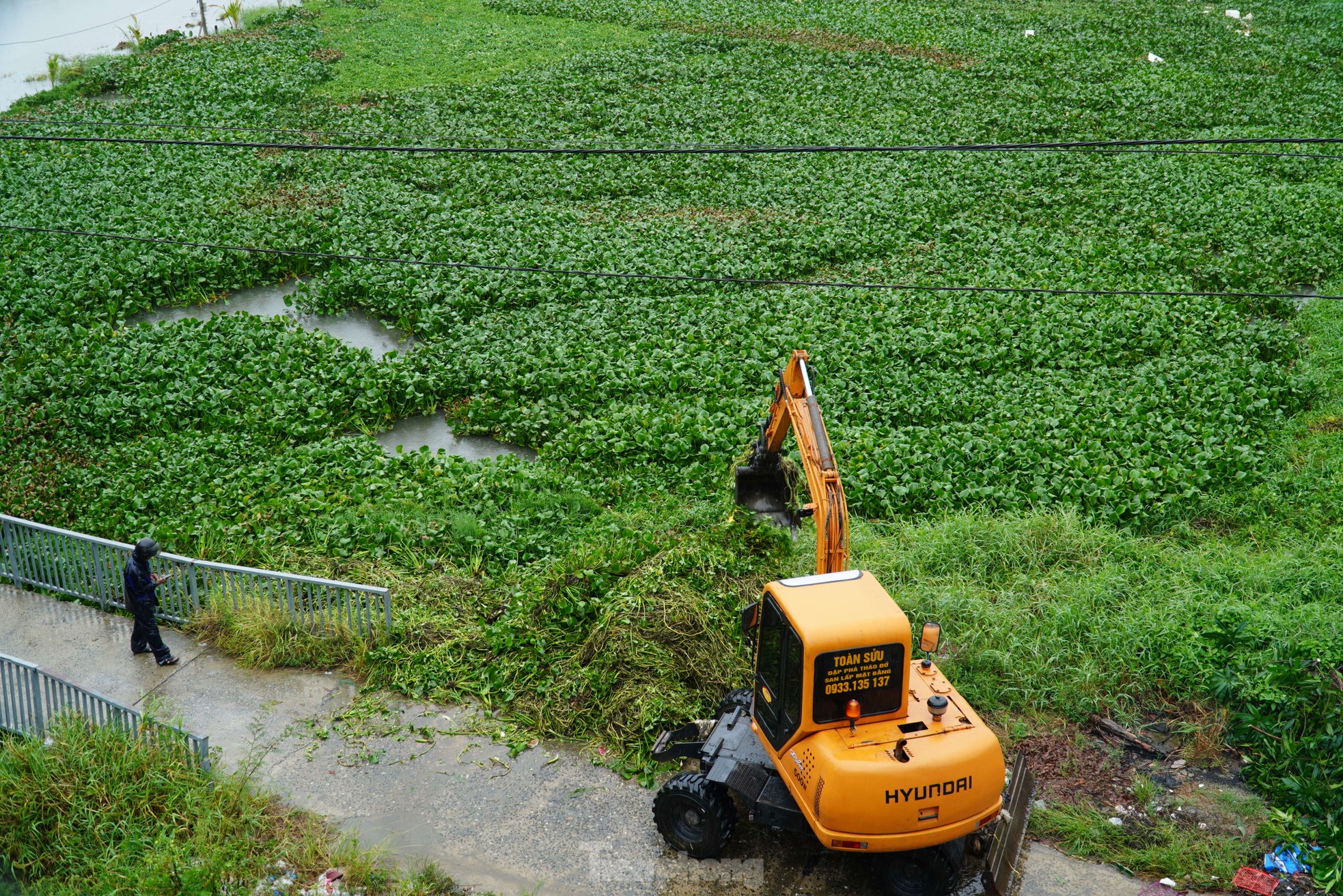 Nước bủa vây vùng rau lớn nhất Đà Nẵng sau mưa kéo dài, 'bà con không kịp trở tay' ảnh 13