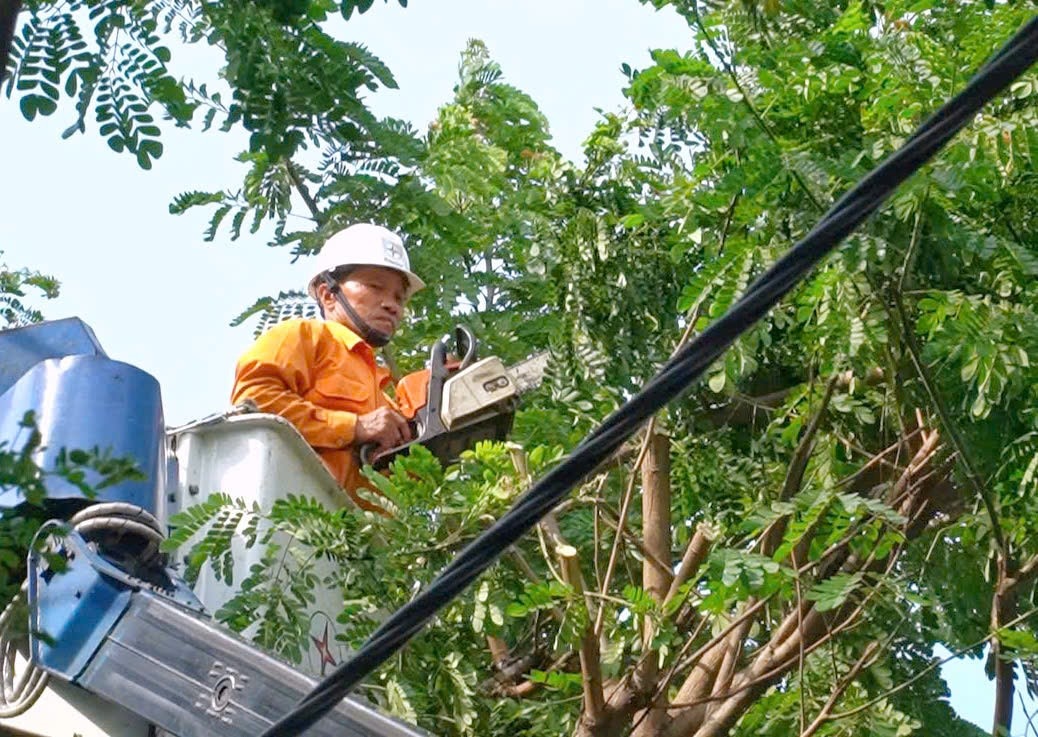 PC Đà Nẵng tăng cường phát quang hành lang tuyến theo phương án và kế hoạch ứng phó với mưa bão.