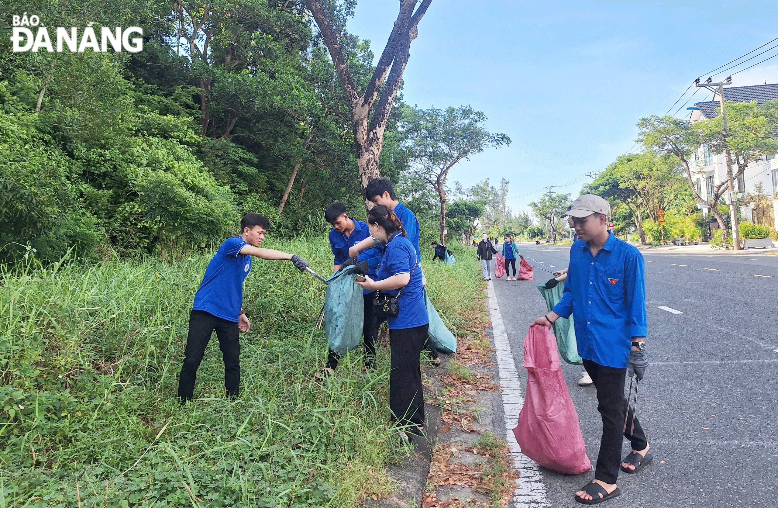 Các tình nguyện viên thu gom rác hai bên đường lên bán đảo Sơn Trà.  Ảnh: THU HÀ