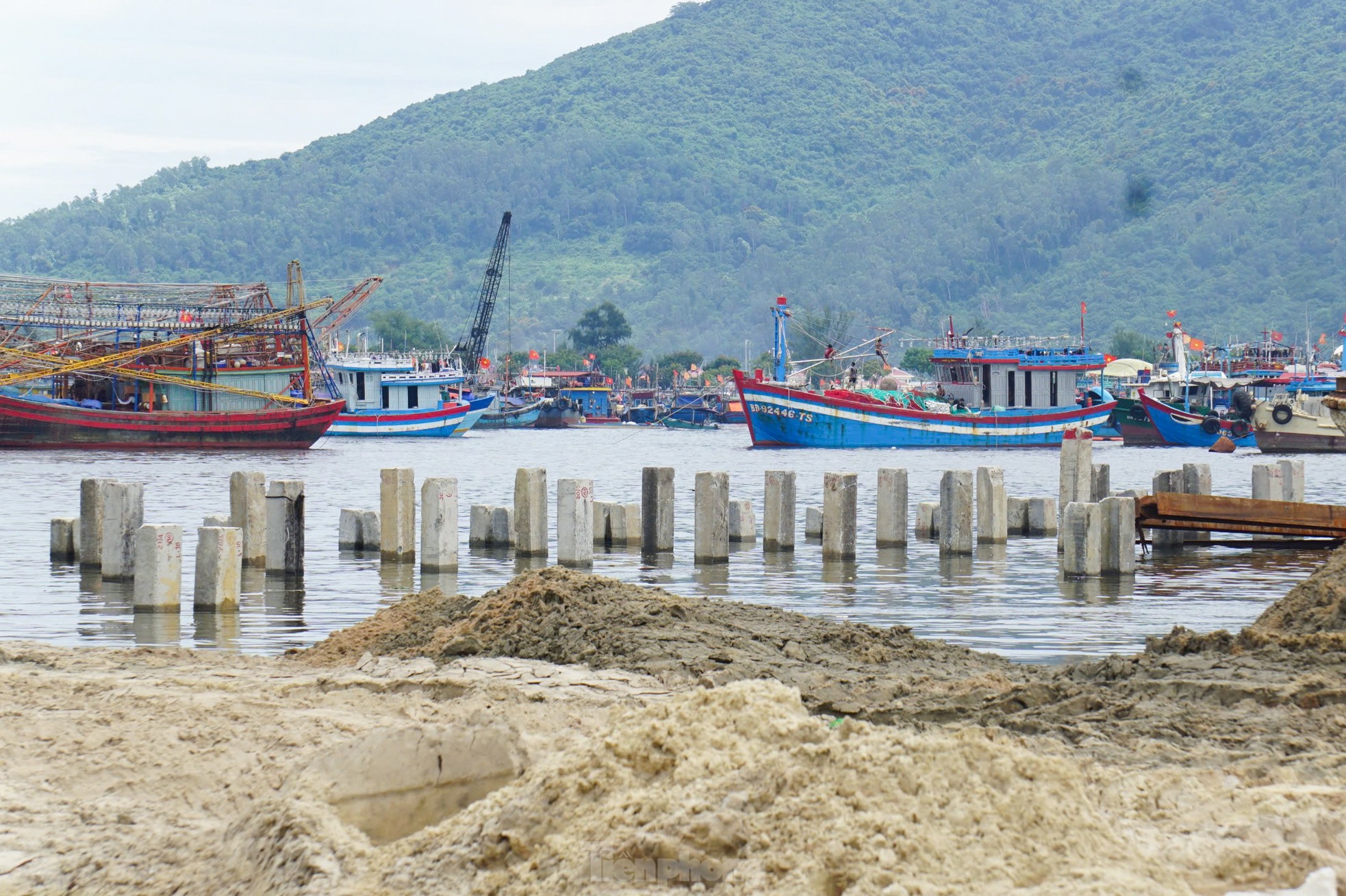 Cận cảnh đại công trường xây dựng trung tâm nghề cá lớn Đà Nẵng ảnh 6