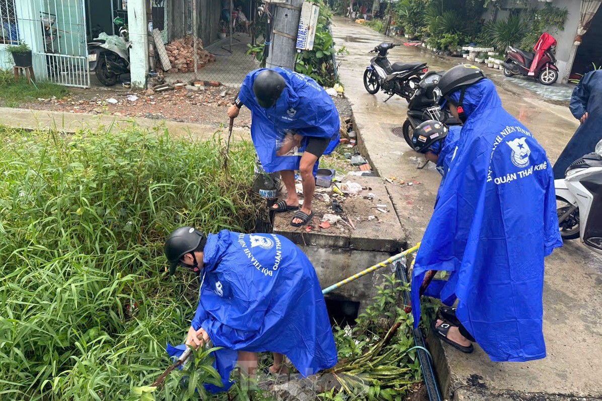 Đà Nẵng kích hoạt đội hình tình nguyện giúp người dân phòng chống bão Trà Mi ảnh 10