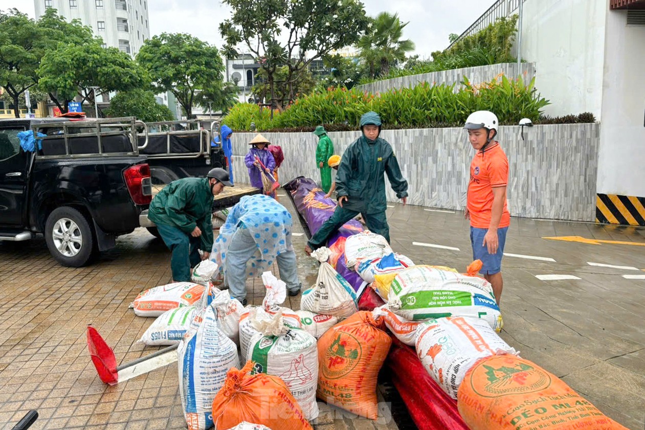 Đà Nẵng kích hoạt đội hình tình nguyện giúp người dân phòng chống bão Trà Mi ảnh 12