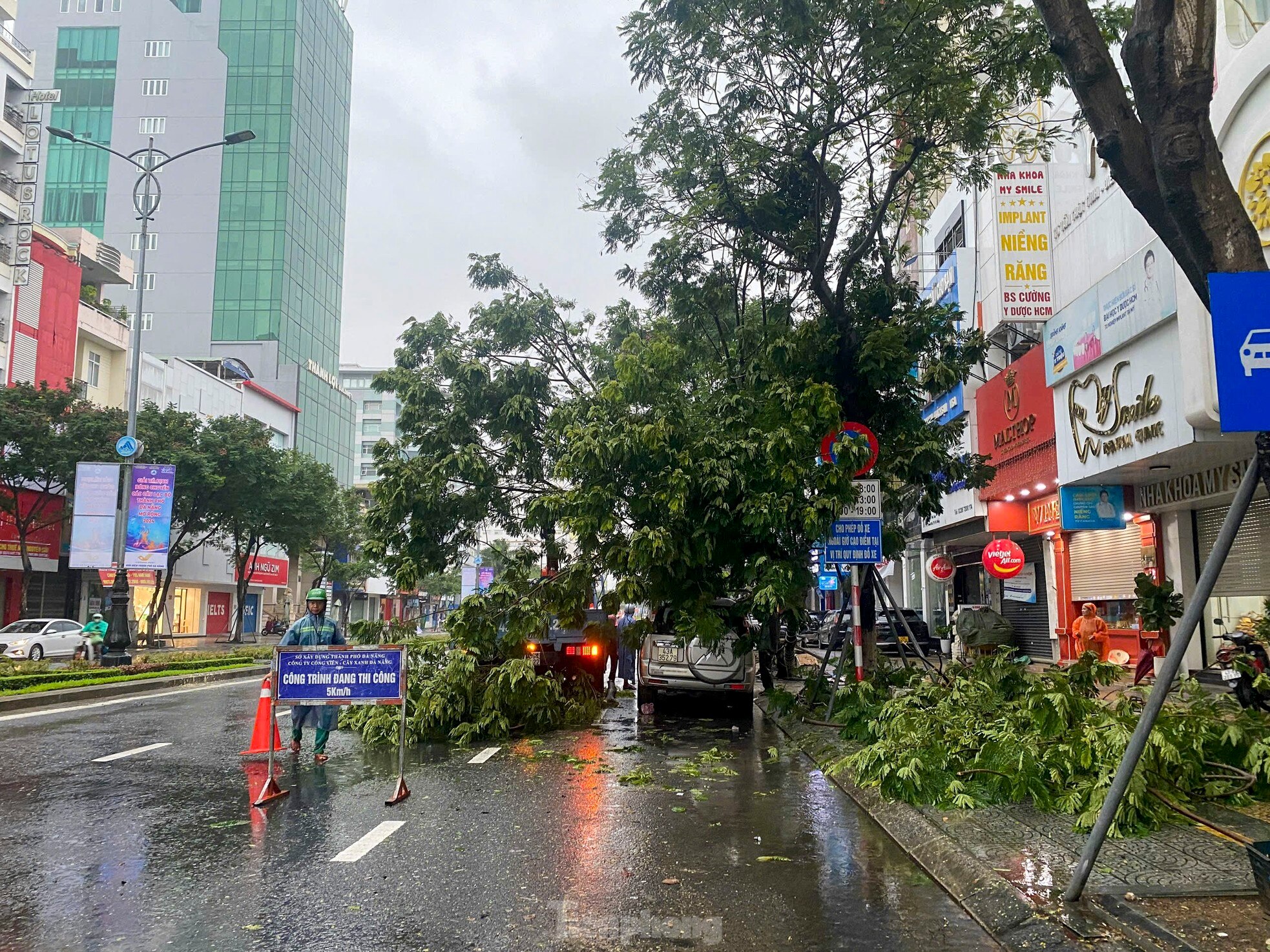 Bão số 6 áp sát, cây xanh gãy đổ la liệt ở Đà Nẵng ảnh 12