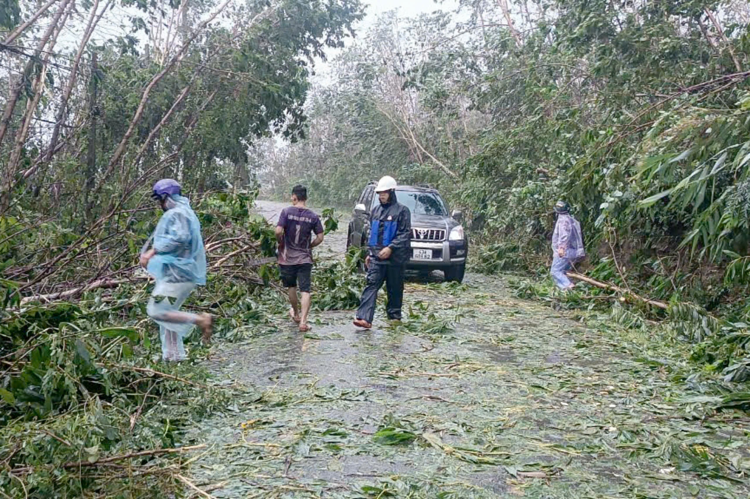 Cây đổ dọc các trục đường chính qua xã Hòa Phú (huyện Hòa Vang) đã được UBND xã cùng các đơn vị liên quan dọn dẹp nhanh chóng trong chiều 27-10. Ảnh: NGUYỄN CẦU