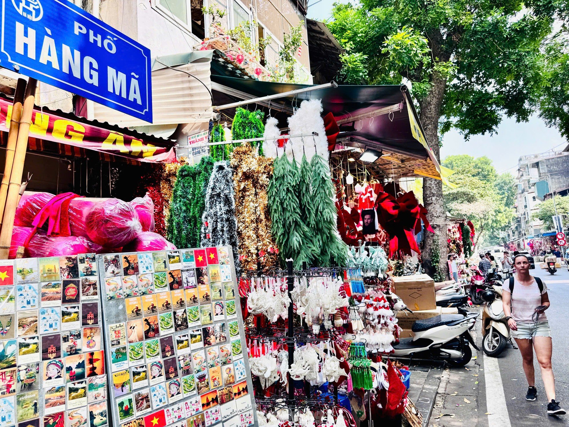 Trời nắng đẹp, 'nàng thơ' check-in Giáng sinh sớm lung linh sắc màu ảnh 1