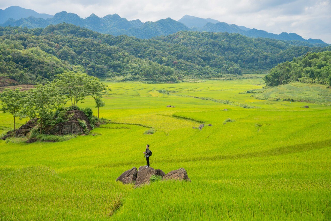 Với diện tích 17.662 ha, Pù Luông là vùng đất có rừng rậm, suối thác lớn nhỏ, hang động và núi non xen lẫn những bản làng yên bình. Mùa này, cùng với những ruộng lúa chín xanh đẫy đà ở khắp mọi miền, bản Đôn của Pù Luông cũng đang vào mùa xanh lấp ló sắc vàng. Cái tên “Đôn” của bản có nghĩa là tụ họp trong tiếng Thái. 