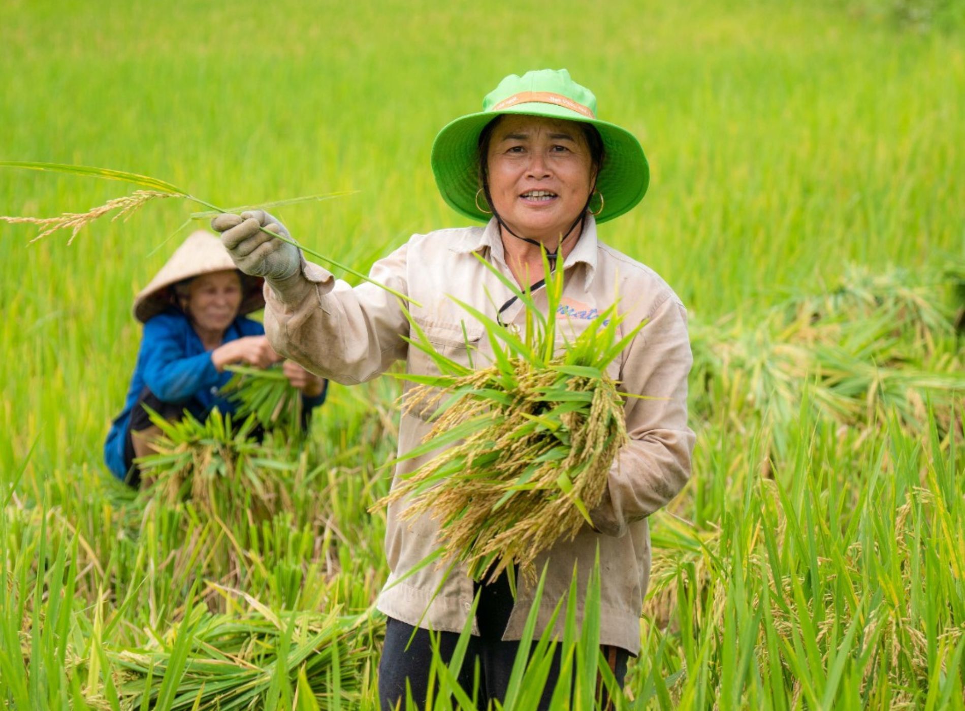 Cuộc sống ở bản Đôn có sự gắn kết, hòa hợp giữa con người với thiên nhiên. Ruộng bậc thang “cõng” những bông lúa xanh trĩu nặng uốn lượn quanh các sườn đồi, tựa như những dòng nước xanh rì chảy qua những mái nhà sàn đơn sơ. Người dân Pù Luông cần cù trồng cây, hái trái và rất mến khách.