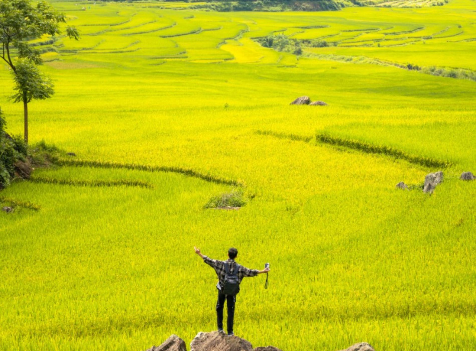  Thời điểm thích hợp nhất để khách du lịch đến Pù Luông từ tháng 5 đến tháng 10. Hiện tại, bản Đôn của Pù Luông đang ở mùa lúa xanh. Nếu du khách muốn ngắm khung cảnh đẹp mơ màng của mùa vàng thì chỉ khoảng 2 tuần nữa, lúa ở đây sẽ chín rộ. 