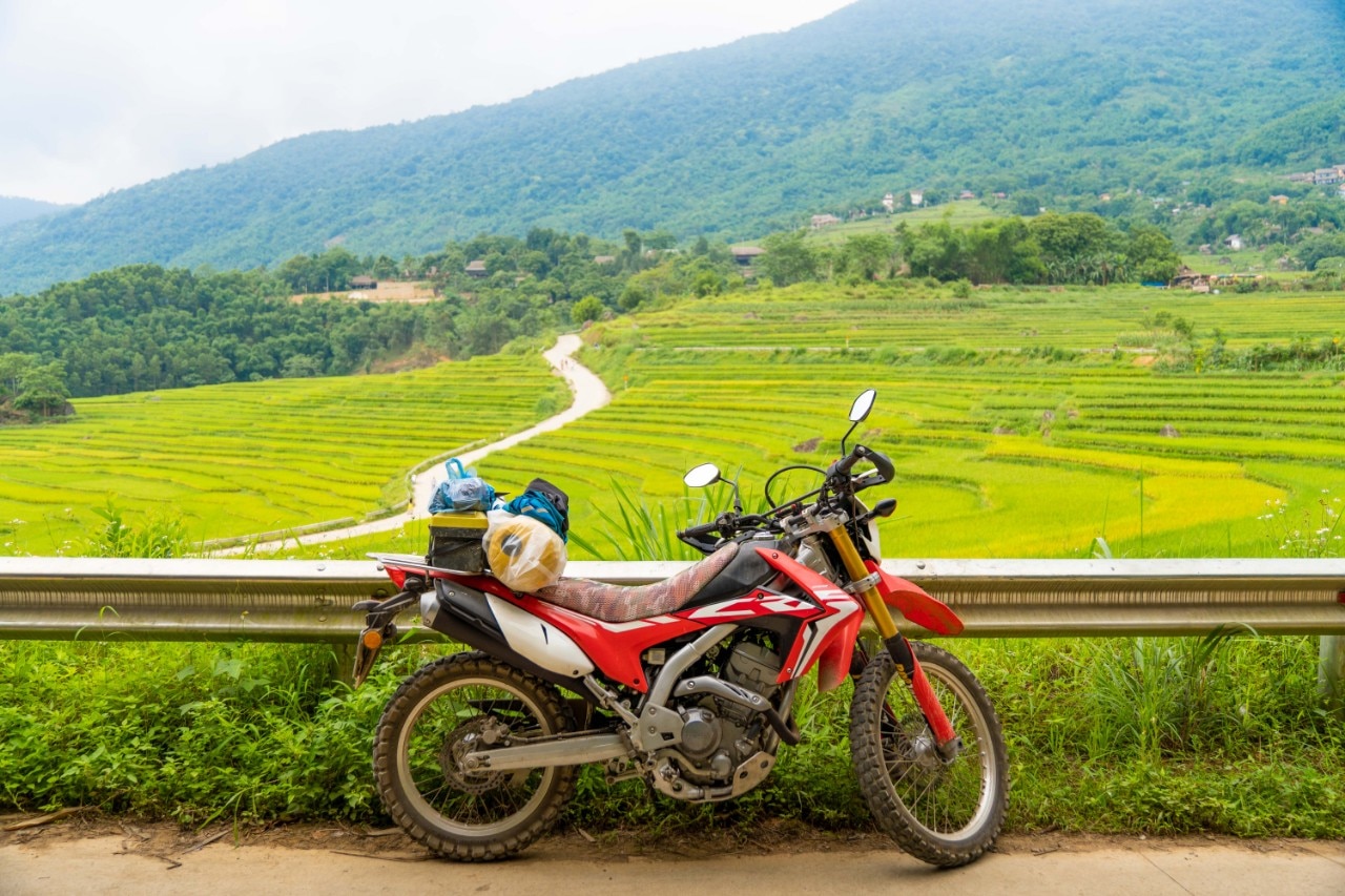 Ngoài khám phá ruộng lúa, cung đường chữ “S”, du khách khi đến bản Đôn còn được chiêm ngưỡng những ngôi nhà sàn truyền thống có kiến trúc độc đáo khó tìm ở Thanh Hóa. Những ngôi nhà sàn ấy thể hiện đặc trưng văn hoá của người dân tộc Thái. Đồng thời, đây cũng là chỗ nghỉ lý tưởng cho khách du lịch ngoài resort và homestay sau những chuyến xe mỏi mệt ngắm cảnh. 