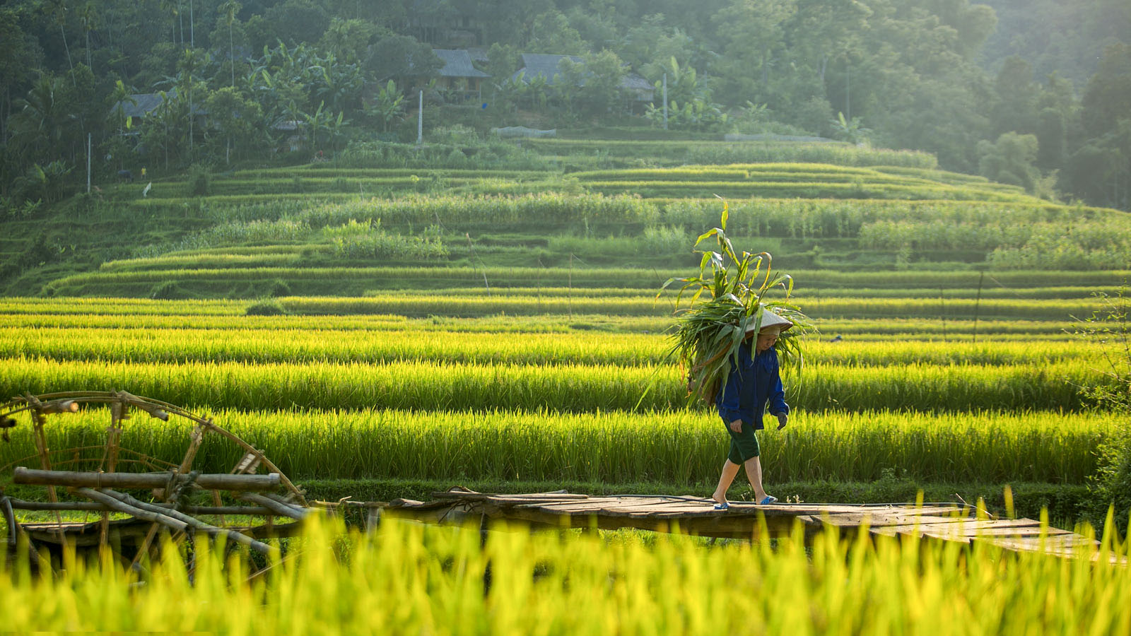 Bản Đôn Pù Luông – Nàng thơ giữa đại ngàn Bá Thước Thanh Hóa