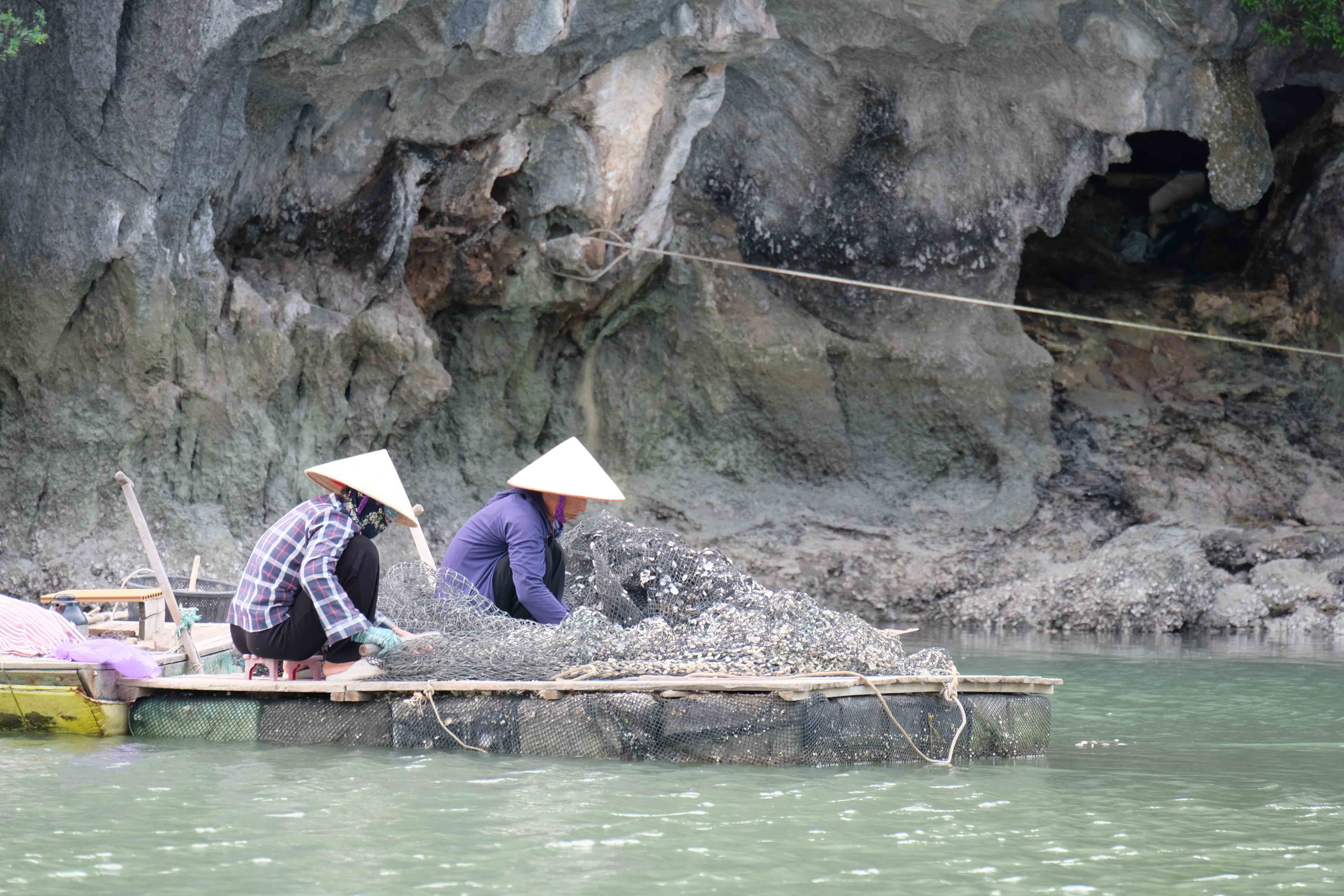 Khách quốc tế chèo kayak ngắm làng chài nổi trong lòng di sản thế giới- Ảnh 10.