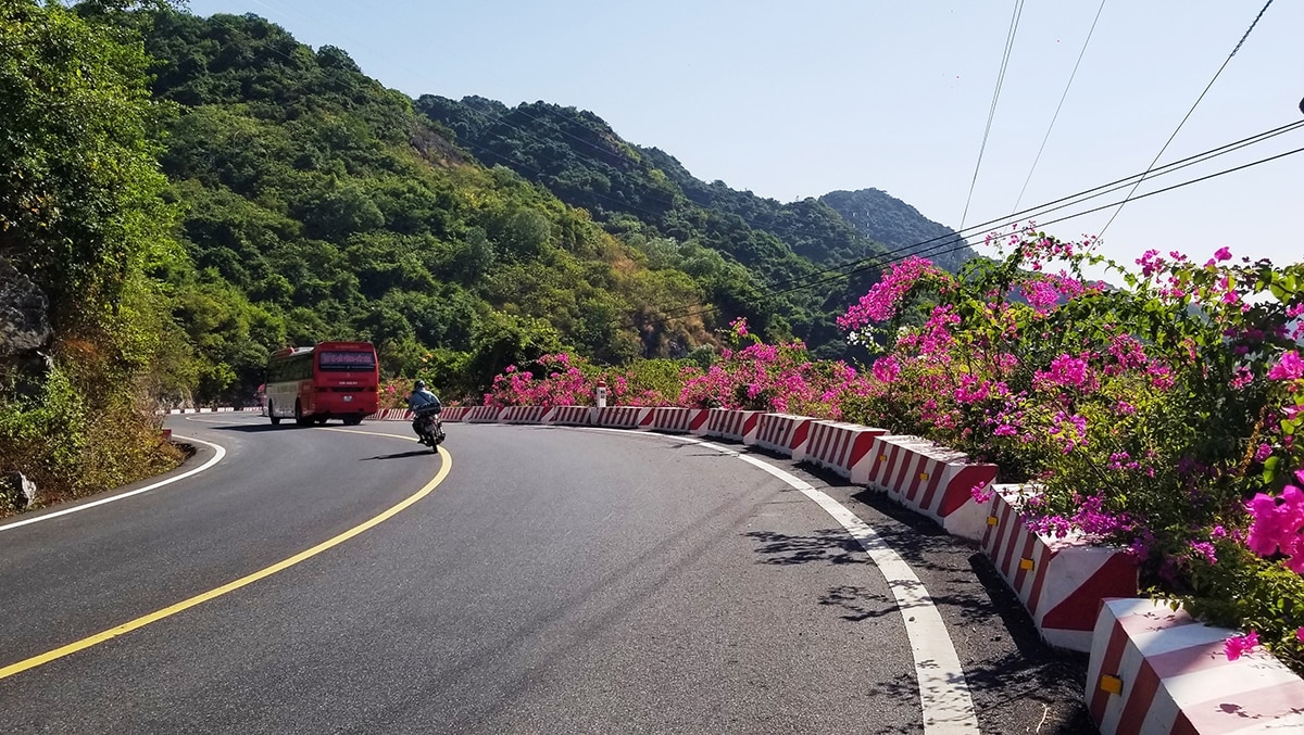 Hải Phòng: Đẹp mê hồn tuyến đường xuyên đảo Cát Bà vào đông - Ảnh 4.