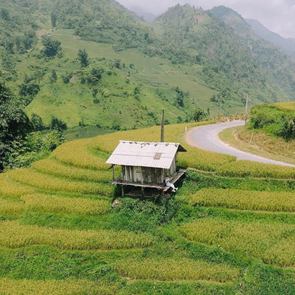 Sa Pa mùa lúa xanh - thiên đường nơi hạ giới- Ảnh 5.