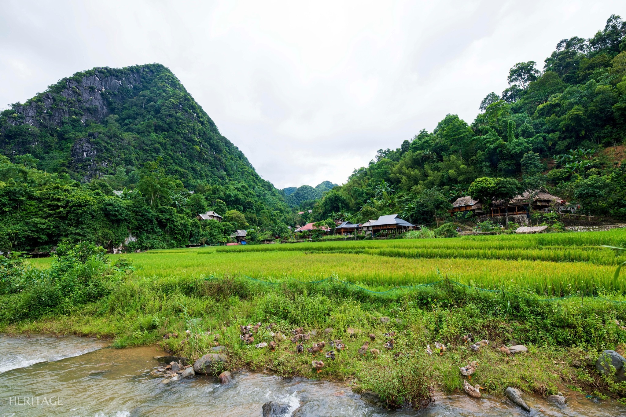 Có thể là hình ảnh về núi, sương mù và cỏ