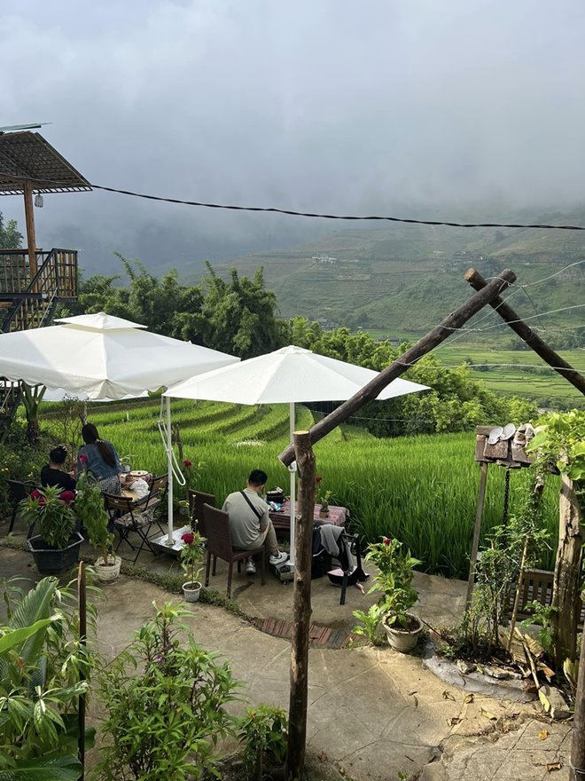 Mẹt gà nướng, cơm lam, rau rừng… giữa view đồng lúa. Ảnh: Lúa Cafe Sapa