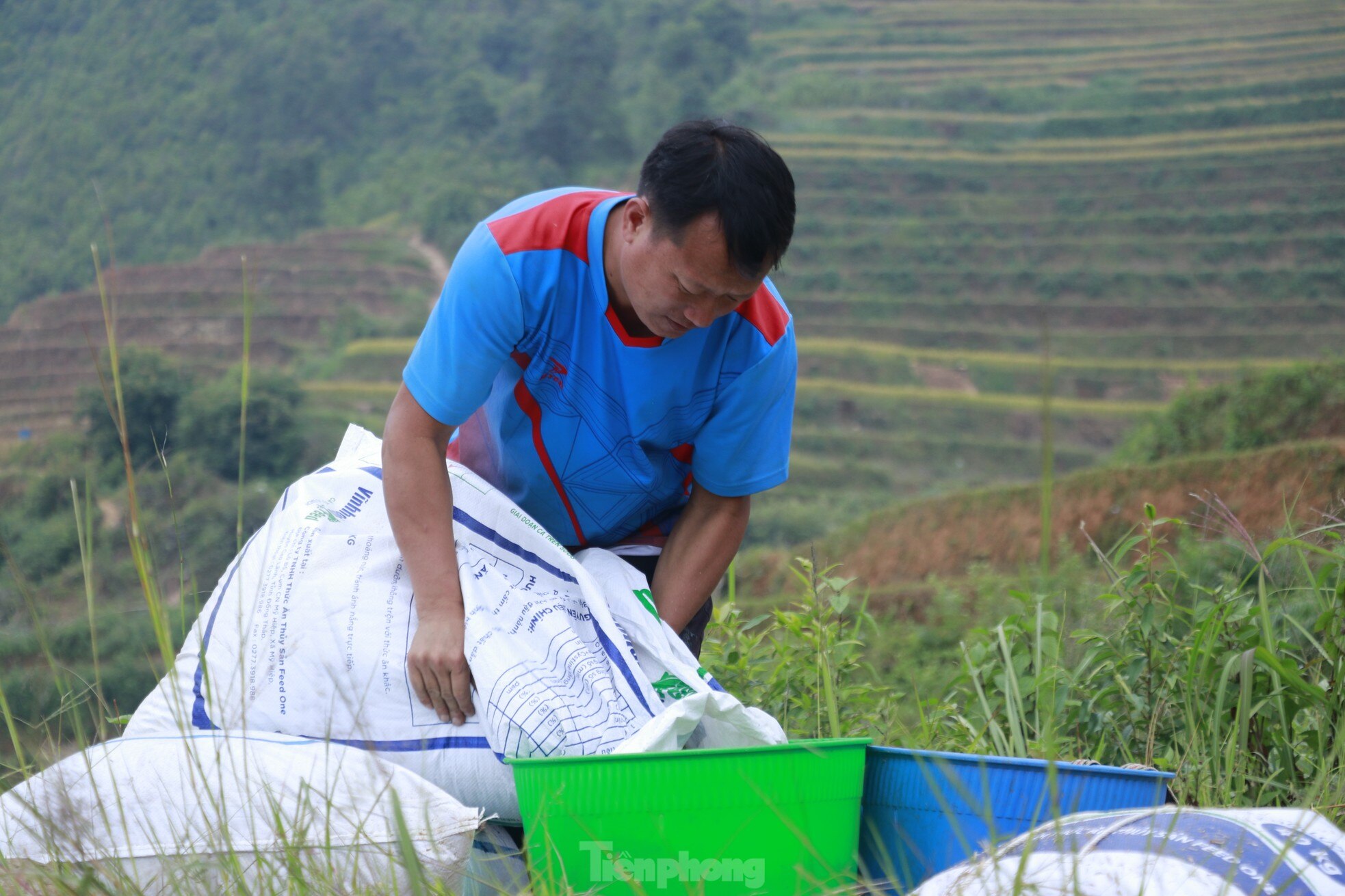 Sắc vàng rực rỡ trên những thửa ruộng bậc thang Mù Cang Chải ảnh 25