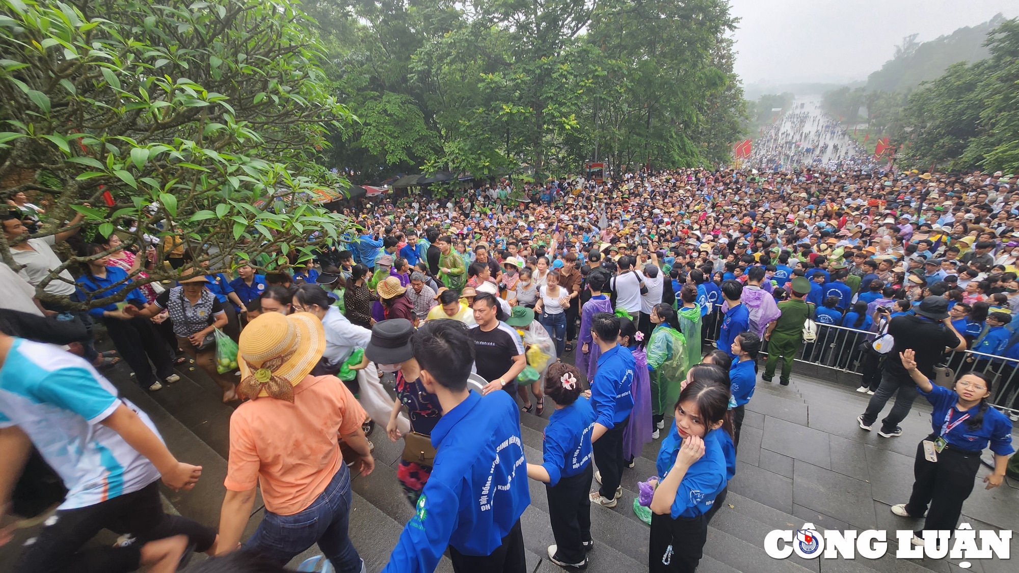 phu tho bien nguoi do ve dang le o den hung trong ngay chinh hoi hinh 3