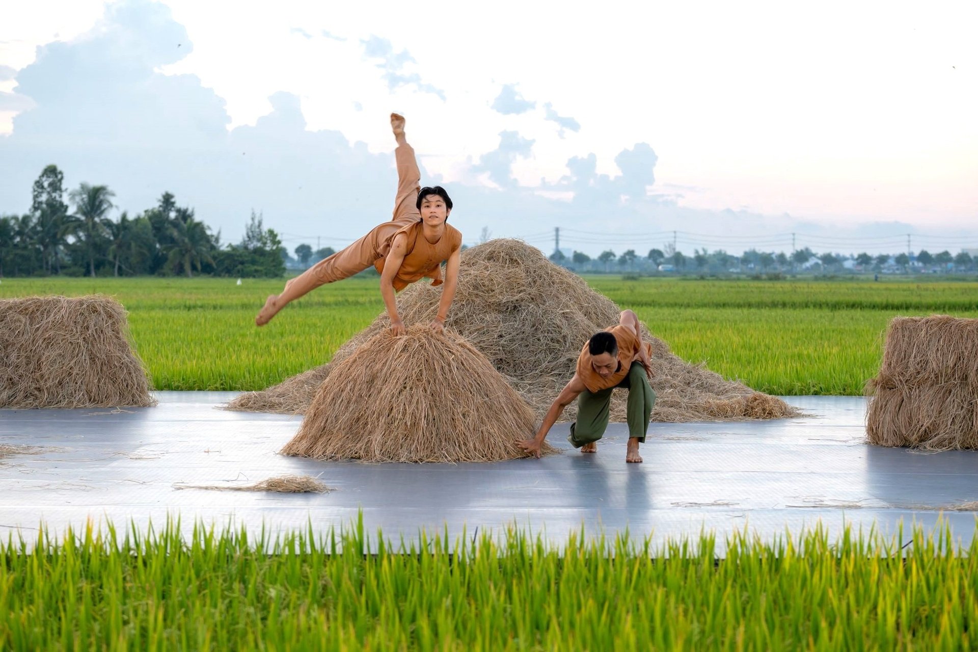 Múa đương đại giữa cánh đồng lúa chín vàng Hội An - 5