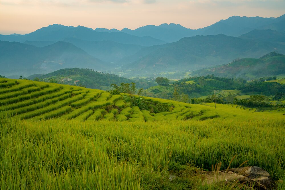 Anh Phan Thanh Cảnh (31 tuổi, sinh sống tại TP Hạ Long) cho biết mình và gia đình mỗi năm đều có thói quen du lịch Bình Liêu, chỉ tùy vào thời gian cho phép mà ở lại nhiều hay ít ngày. Ảnh: NVCC